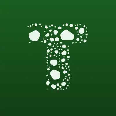 ТЕХНОЛОГИИ 21 ВЕК, лого-визитка